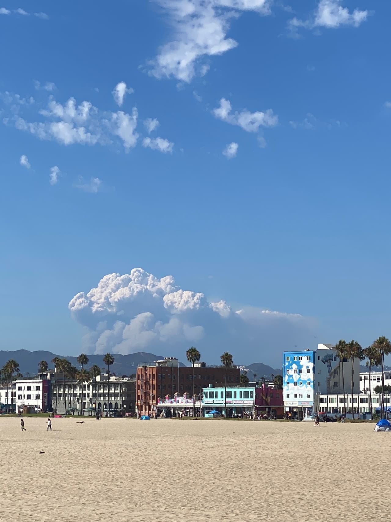Además así se percibió el incendio desde Venice Beach a unas 65 millas de distancia.