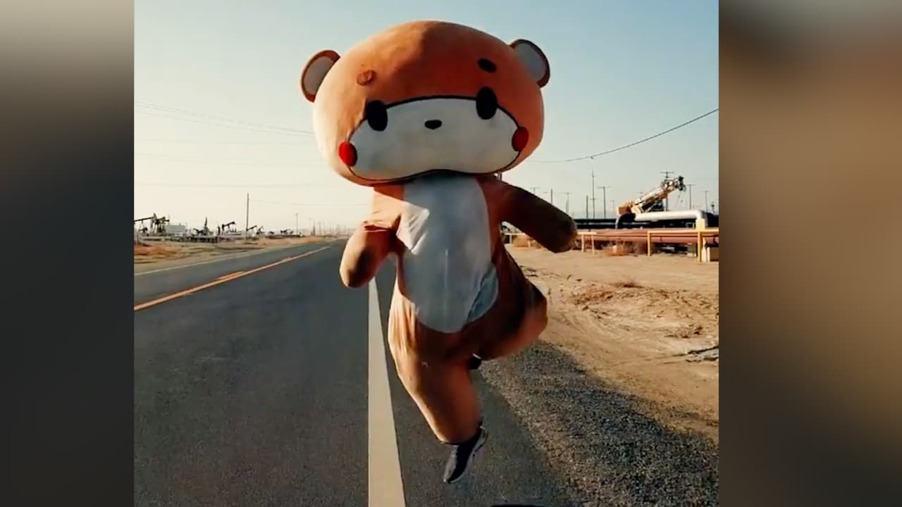 Bearsun, el oso de peluche gigante que camina de Los Ángeles a San Francisco en medio de la pandemia