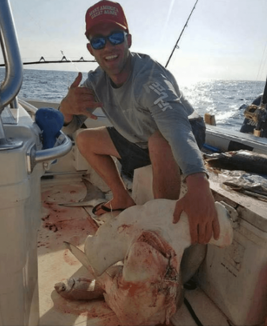 FWC dice que es ilegal disparar a un tiburón en aguas de la Florida pero no es contra la ley en aguas federales.
<br>