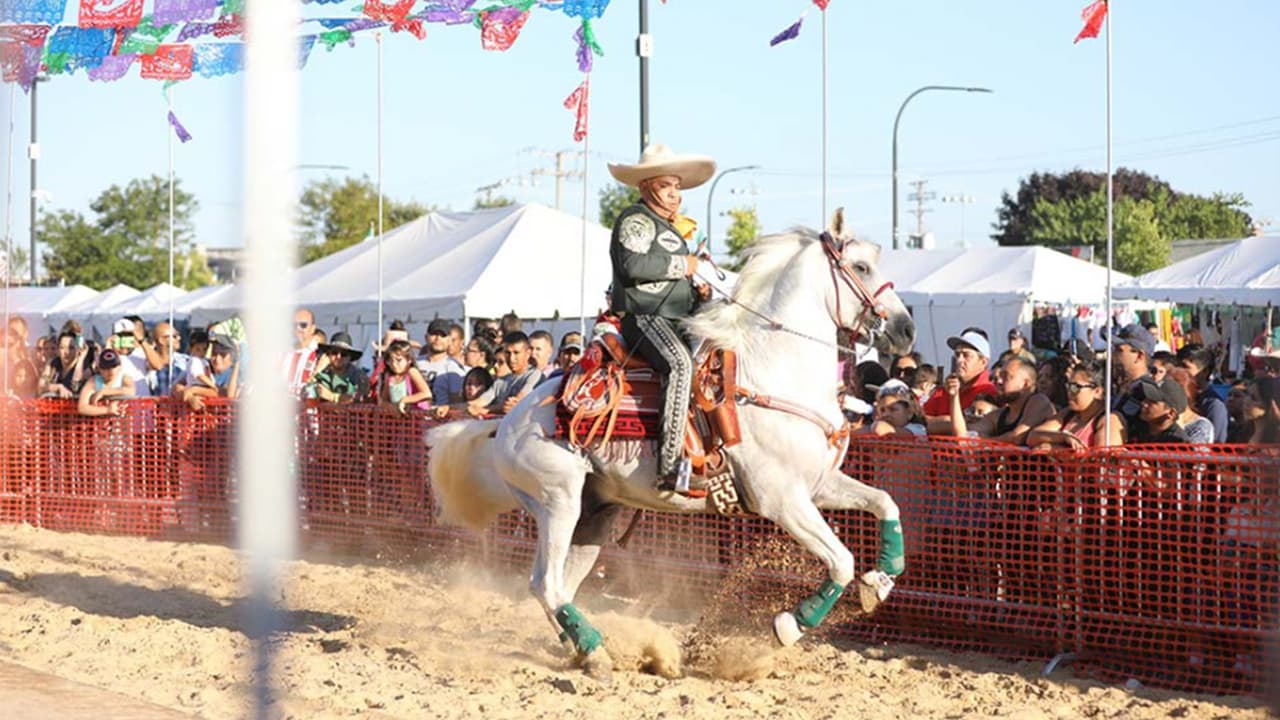 El horario de los festejos es de 
<b>5 p.m. a 10 p.m. de viernes a domingo</b>, en los terrenos feriales de Cicero, en la Calle 34 y la Avenida Laramie, 
<a href="https://goo.gl/maps/rAYZr625VzhZBRaG7https://goo.gl/maps/rAYZr625VzhZBRaG7" target="_blank">aquí</a>. 
<b>El acceso a los festejos y el estacionamiento son gratuitos.</b>