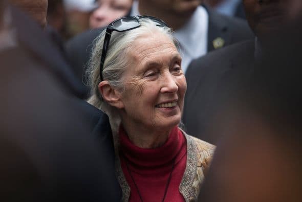 La primatóloga Jane Goodall.
