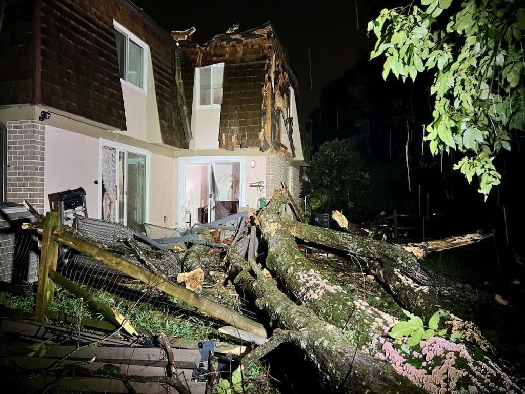 Otros efectos de mayor consideración fueron el desplome de árboles que, en su caída, dañaron viviendas.