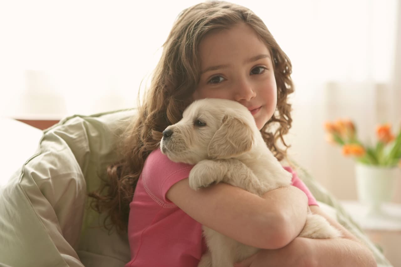 Si tienes perro, has tenido o has estado en contacto con personas que tienen uno en casa, sabes que siempre quieren estar cerca de las personas.