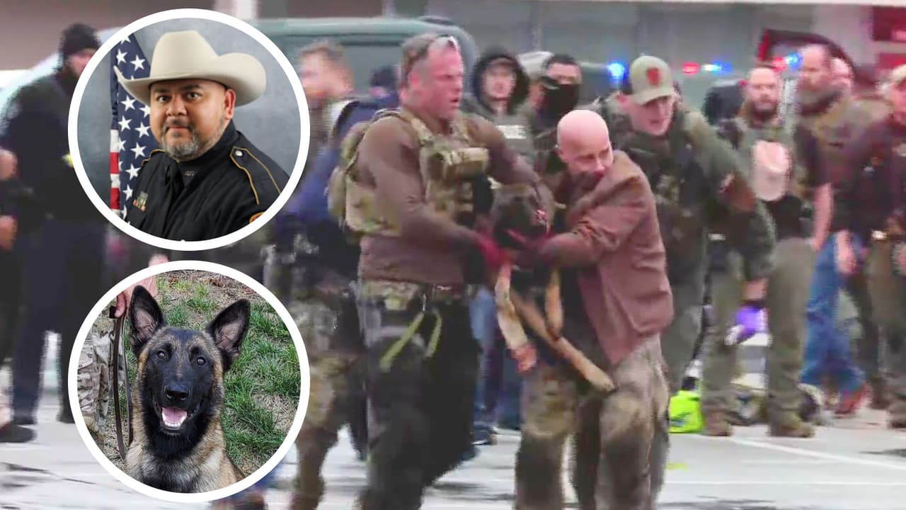 Rocky, el perro ‘héroe’ baleado que ayudó a detener a un sospechoso de matar a un oficial