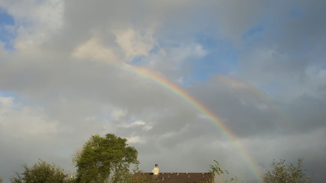 "Rainbow 🌈", imagen compartida por Elizabeth Ramírez
