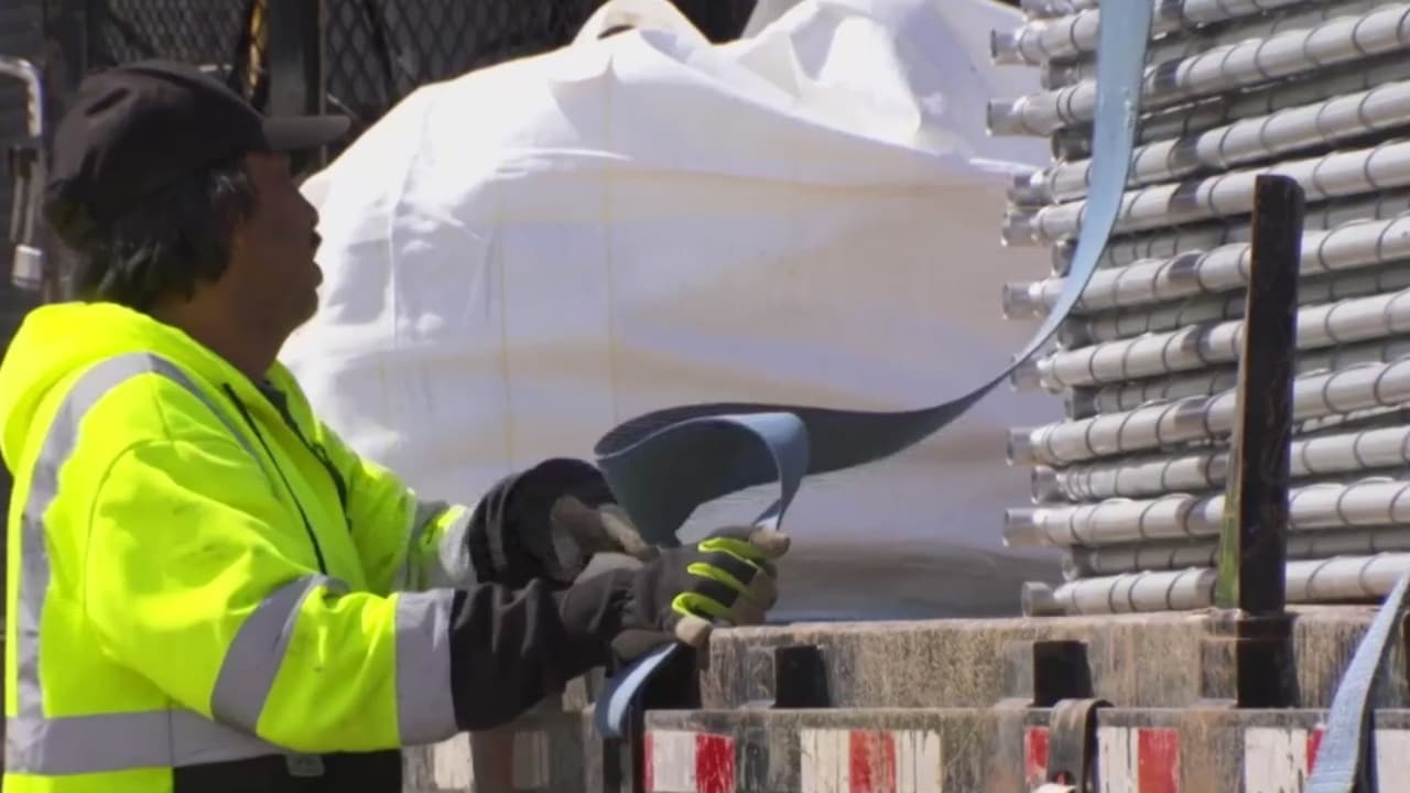 DART añade rutas para celebrar el Día de San Patricio