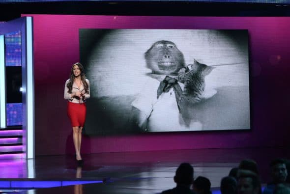 Carlos Calderón sacó lo mejor de las bellas durante un noticiero donde fácilmente una de ellas pudiera ser la nueva reportera de Univision. ¿Tendrá madera una de ellas para llegar a hacer ancla?