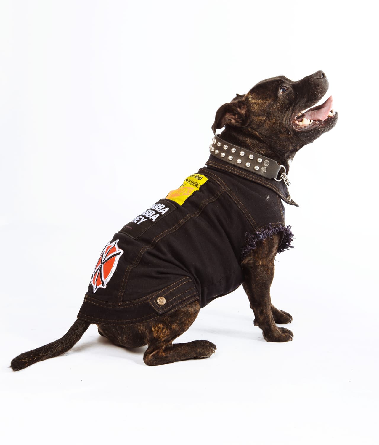 ¿Por qué no darles un regalo con estilo y contra el frío?