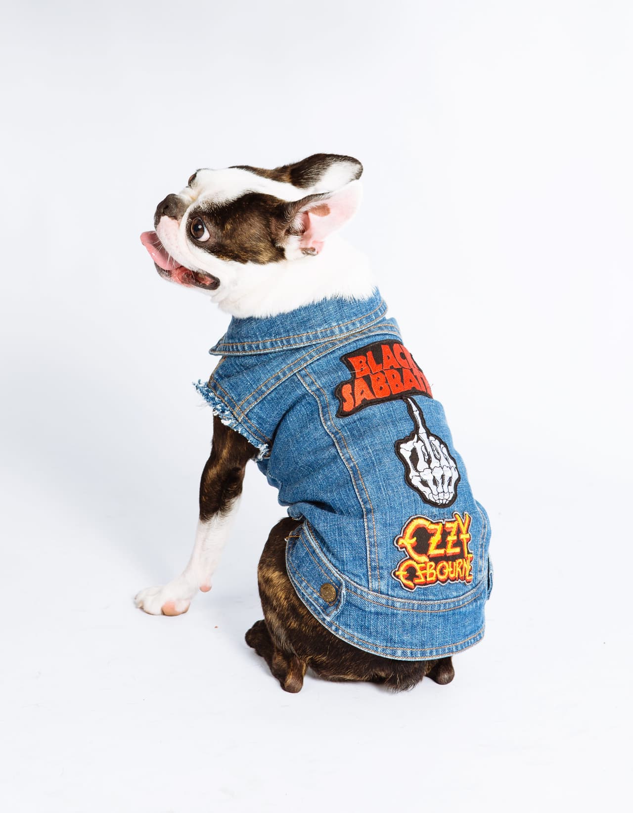 Las chaquetas que Mel y Matt Westwood confeccionan dan el toque ‘rocker’ a nuestros peludos mejores amigos.