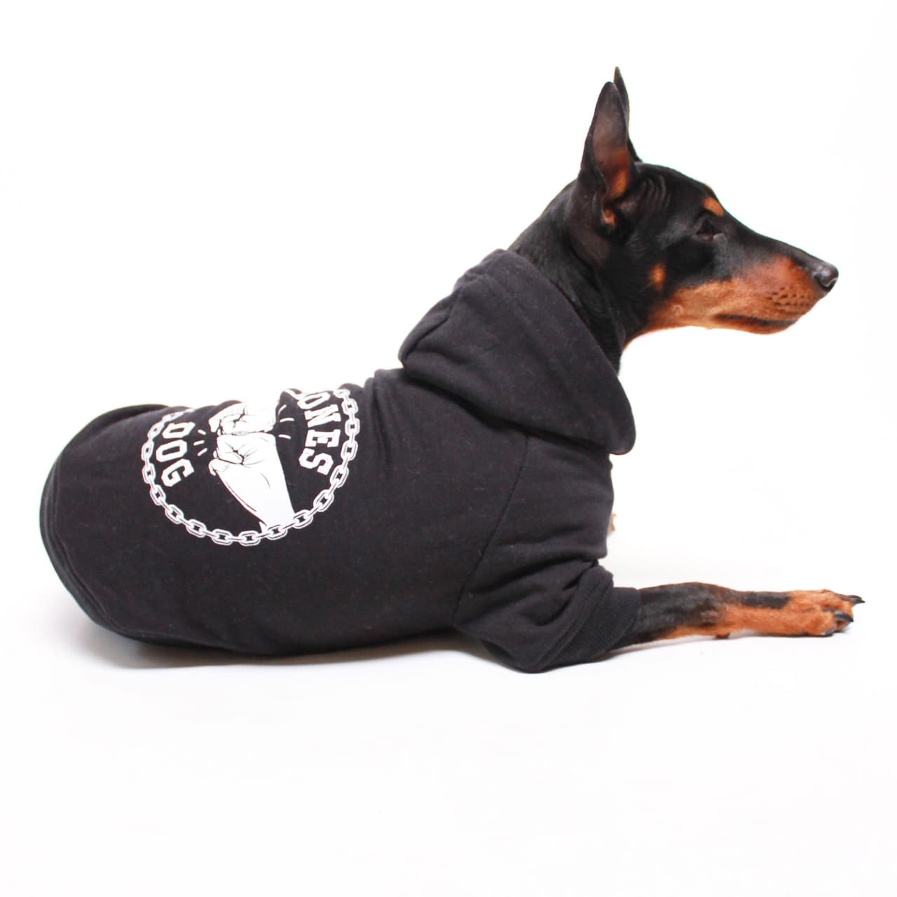 El ‘rocker denim’ es perfecto para los canes rebeldes.