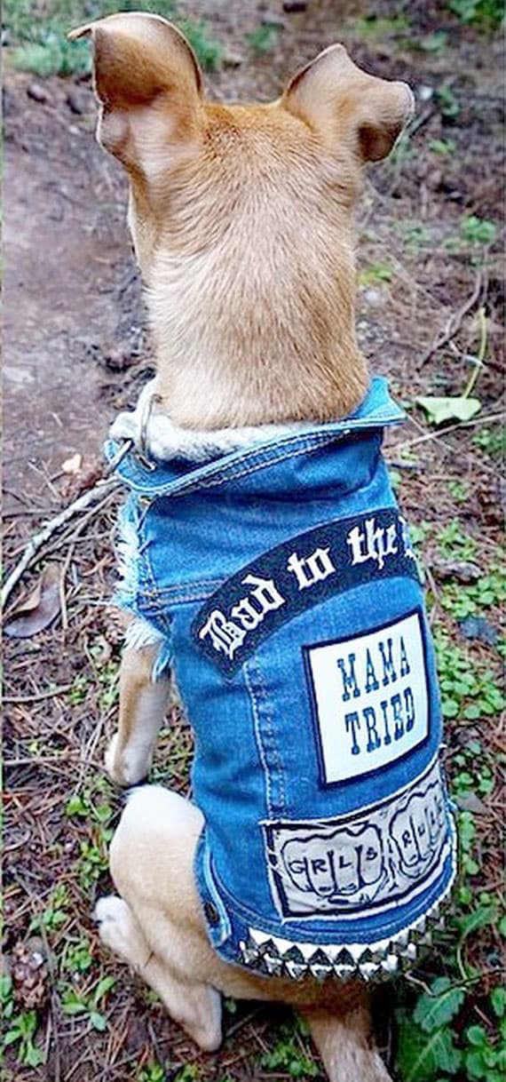 Ellos querían protegerlo del frío.