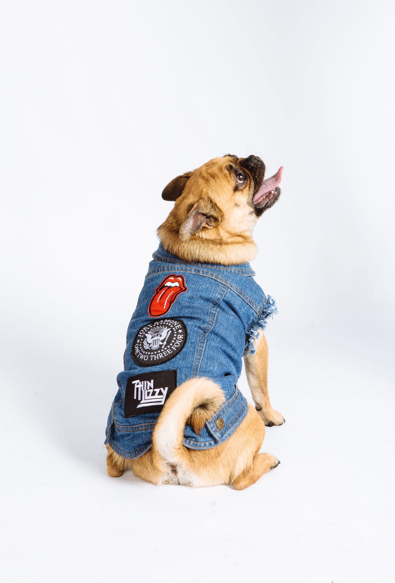 A ladrar con todo el estilo del mundo.