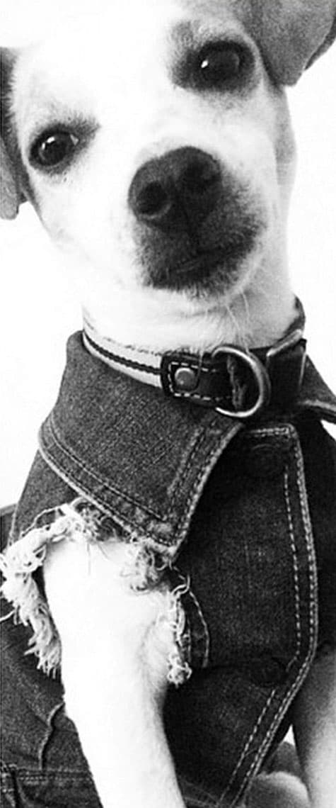 Ellos usan el denim de la mejor manera.