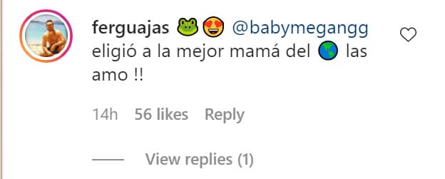 Su esposo, Fernando Guajardo, le mostró su apoyo: "Megan eligió a la mejor mamá del mundo, ¡las amo!"
<br>