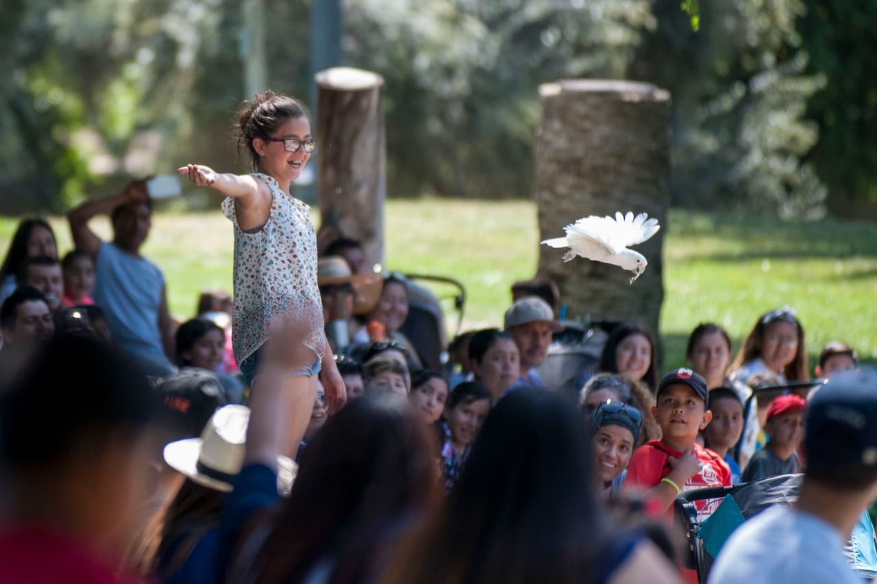 Un bello dia fue perfecto para las familias desde Bakersfield a Modesto.