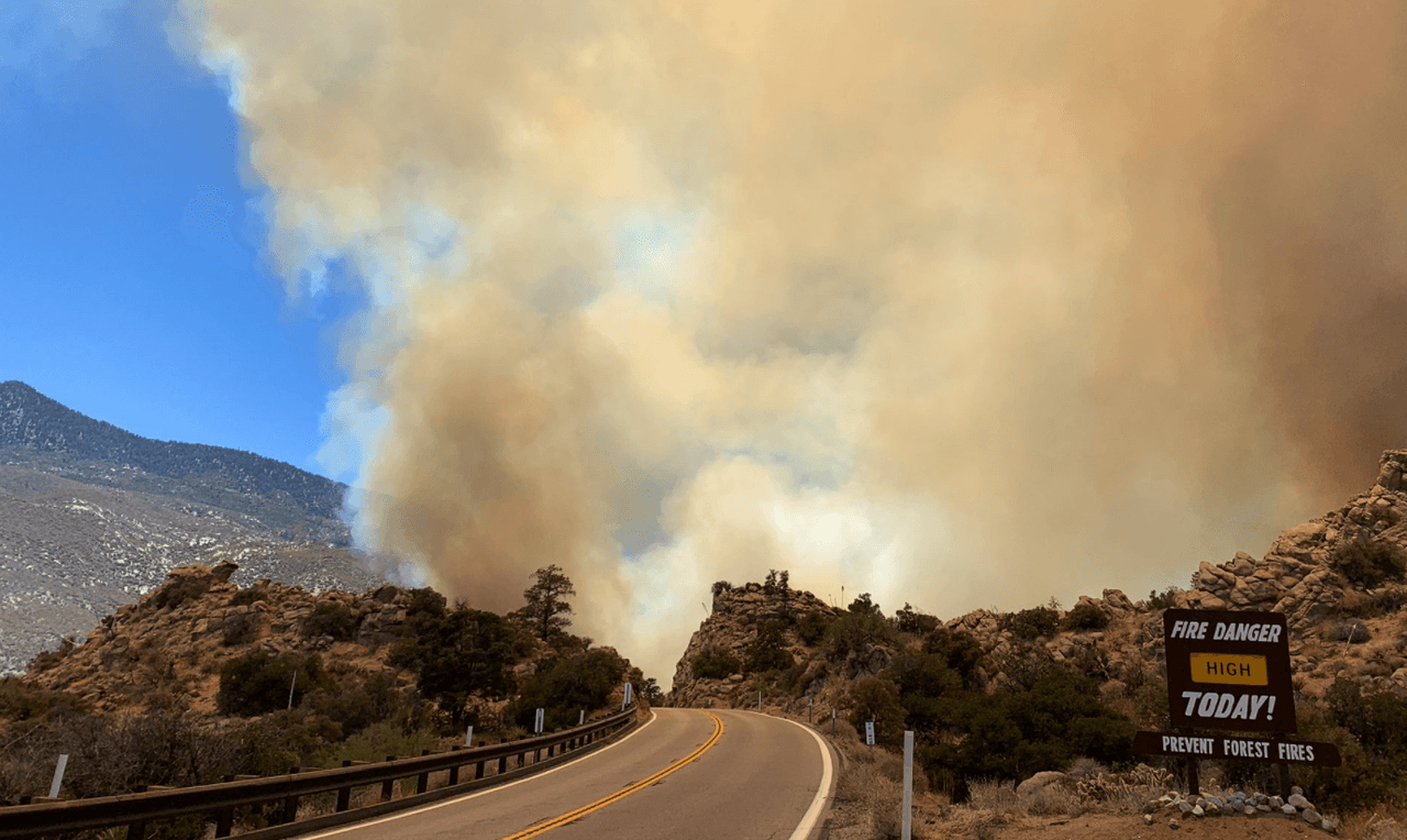 Incendio de maleza obliga a evacuar y al cierre de vía en San Bernardino
