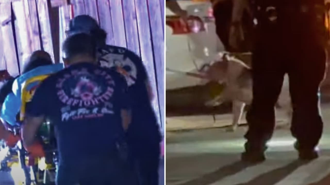 Tras varios días hospitalizada, muere mujer que fue atacada por su perro al norte de San Antonio