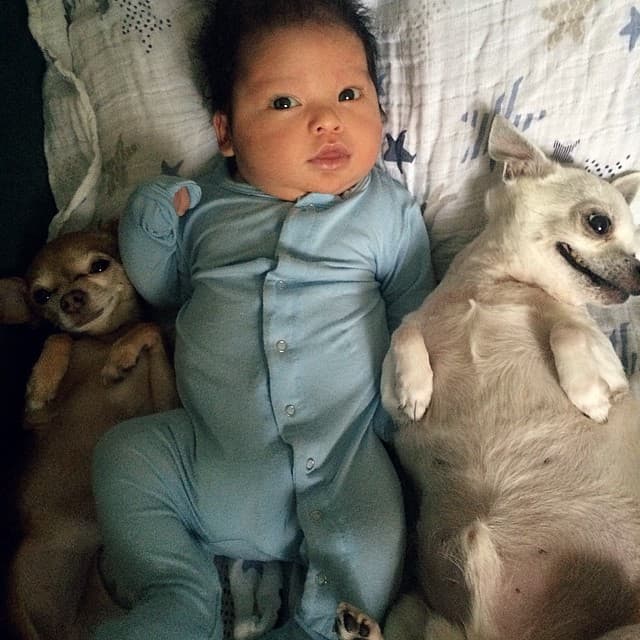 Su pequeñín es todo un encanto.