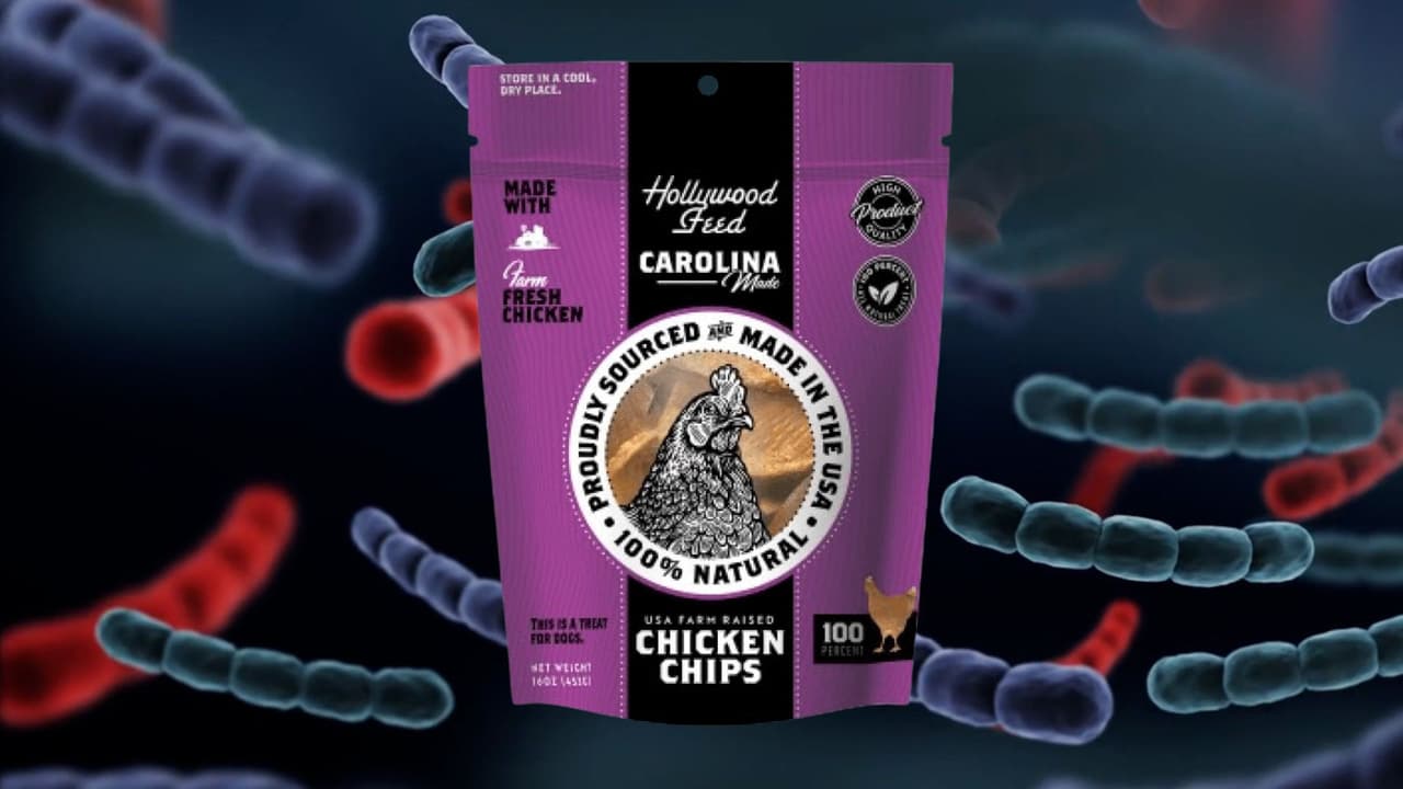 Retiran del mercado premios para perros de una empresa en NC por posible contaminación de salmonela