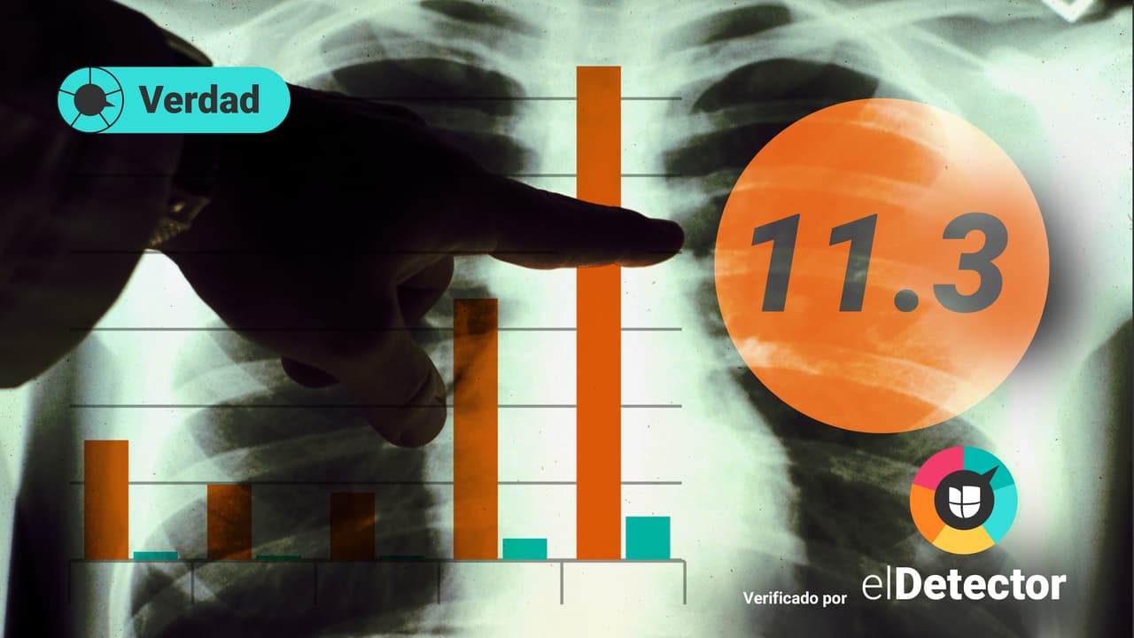 Gráficos mes a mes: ¿Los no vacunados corren 11 veces más riesgo de morir por covid que los que sí se vacunaron?
