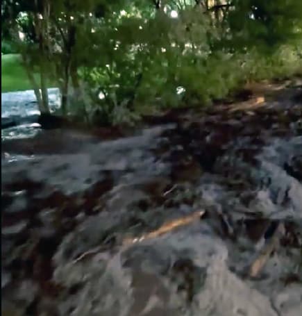 El agua arrastró 
<b>árboles enteros</b> y lodo a través de las calles. La tormenta duró 
<b>casi tres horas</b>, y zonas de Mill Creek Parkway también quedaron afectadas por el agua. El gobernador de Utah, Spencer Cox puso a disposición de la ciudad ayuda estatal, que incluye 
<b>gestores y recursos</b>.