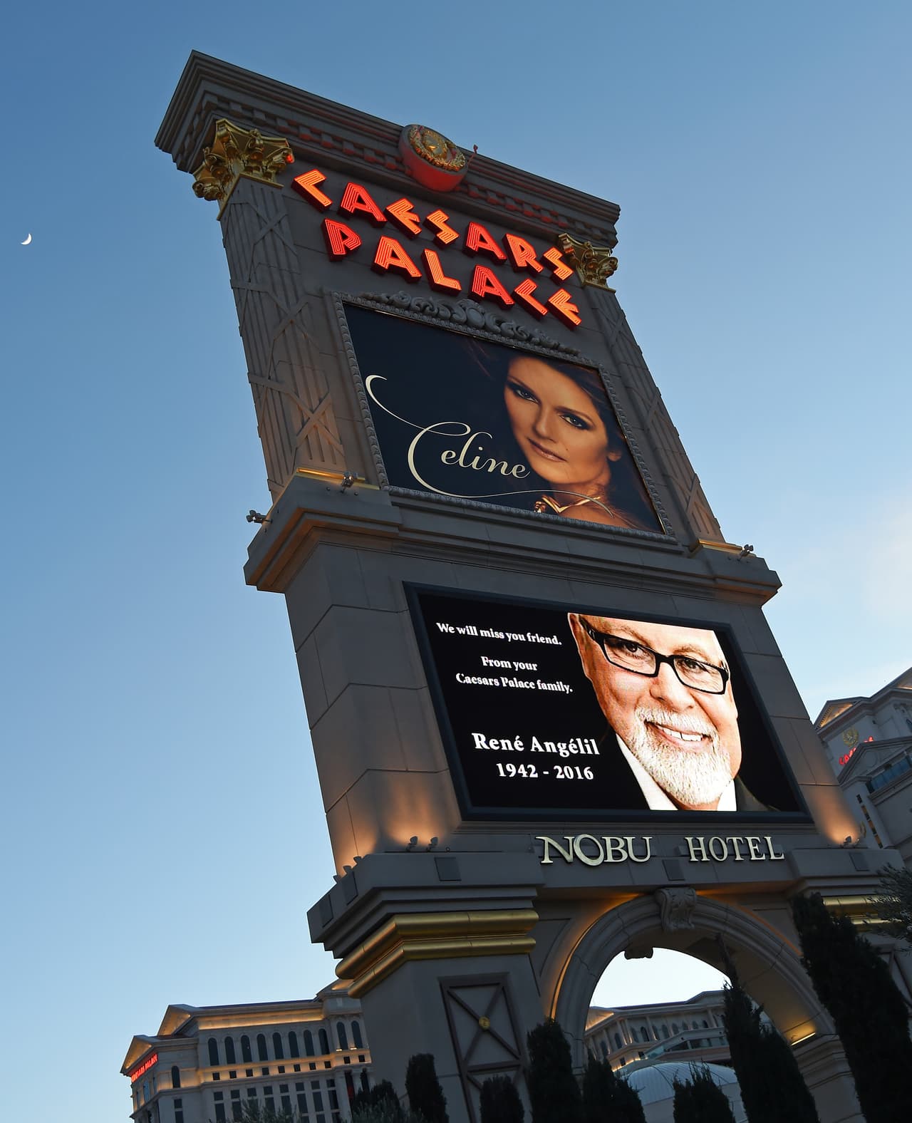 Debido al momento emocional por el que cruza, ella reanudará sus espectáculos en Las Vegas hasta el 23 de febrero.