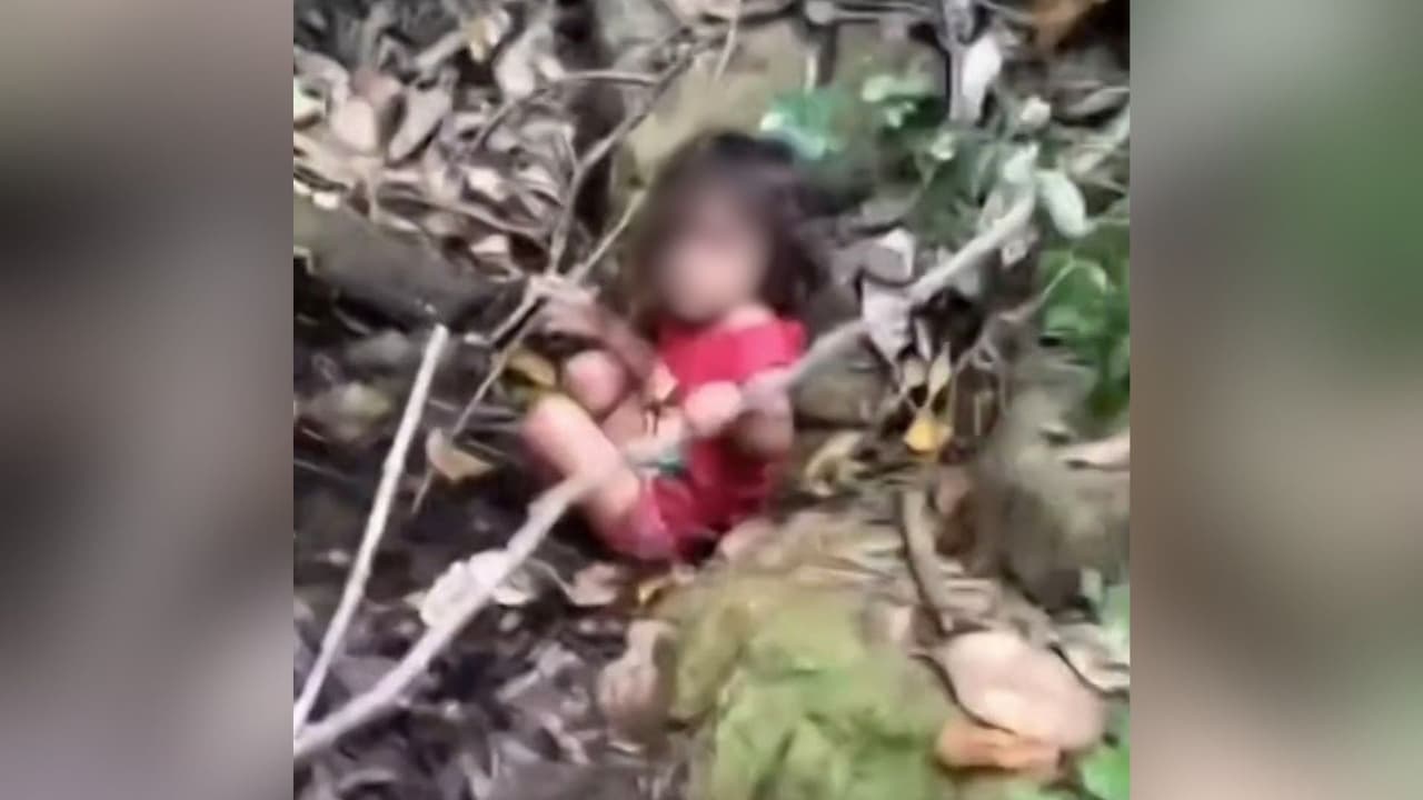 Guardián: Perro se vuelve clave para encontrar a Reinita, una niña de 3 años desaparecida en Honduras