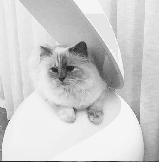 Pero no solo eso, también se volvió toda una influencer de Instagram.
<br>
<br>