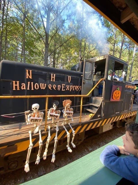 <b><a href="http://www.triangletrain.com/" target="_blank">New Hope Valley Railway Track or Treat (30 de octubre)</a></b>: Durante el espeluznante viaje en tren para niños, los visitantes verán escenas de brujas voladoras, calderos humeantes, grandes caras de calabaza, al conde Drácula y otras criaturas amigables. Se anima a portar disfraces de Halloween.