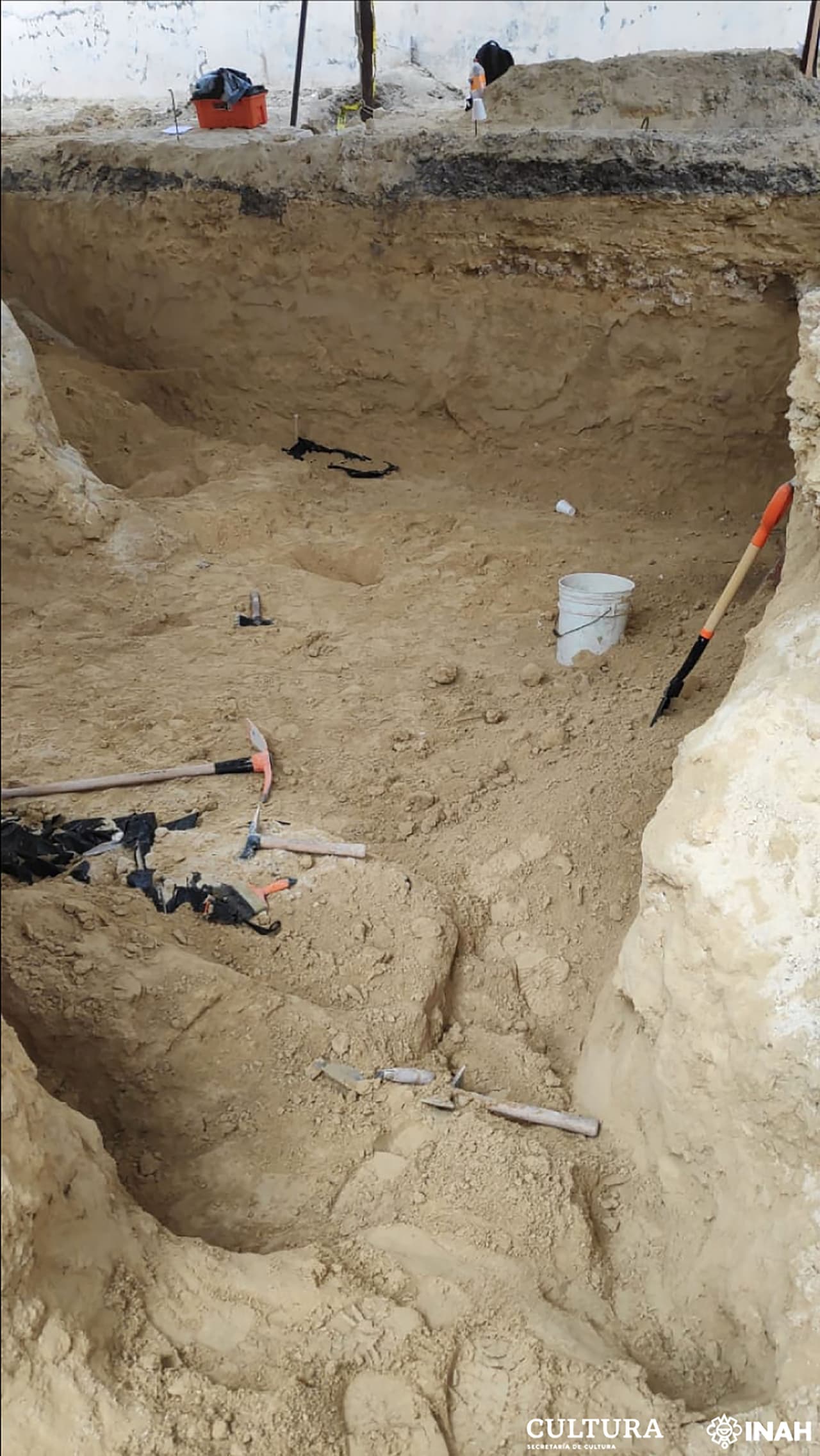 En el lugar donde ahora se construye el nuevo aeropuerto de la Ciudad de México, municipio de Zumpango, Estado de México, también se han encontrado decenas de esqueletos de mamuts, camellos, caballos y bisontes.
<br>
<br>Es el descubrimiento paleontológico más importante en América Latina por concentración de individuos, en pleno centro de México.
<br>