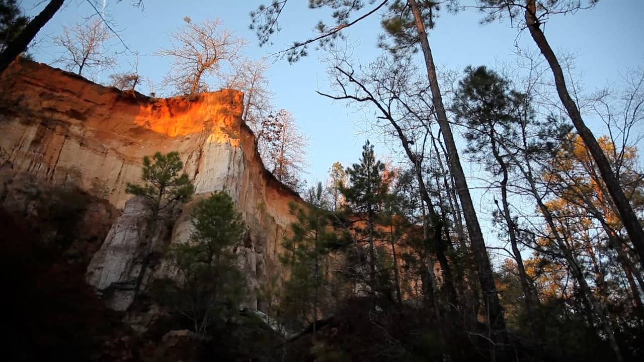 Conoce más sobre Providence Canyon,
<b><a href="https://www.univision.com/local/atlanta-wuvg/maravilla-natural-de-georgia-que-sin-duda-debes-visitar-este-2023-fotos">aquí</a></b>.