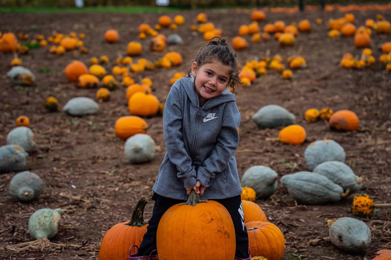 <b><a href="https://www.maylathfarm.com/">Maylath's Farm & Orchard (Sugarloaf)</a></b>. Suba a bordo de un vagón para un paseo en carruaje que te llevará al huerto de calabazas para recoger tus propias calabazas, luego piérdate en un laberinto de maíz y visita a los animales que llaman hogar a la granja.
<br>
<br>
<b><a href="https://g.page/maylathfarm?share">Cómo llegar</a></b>