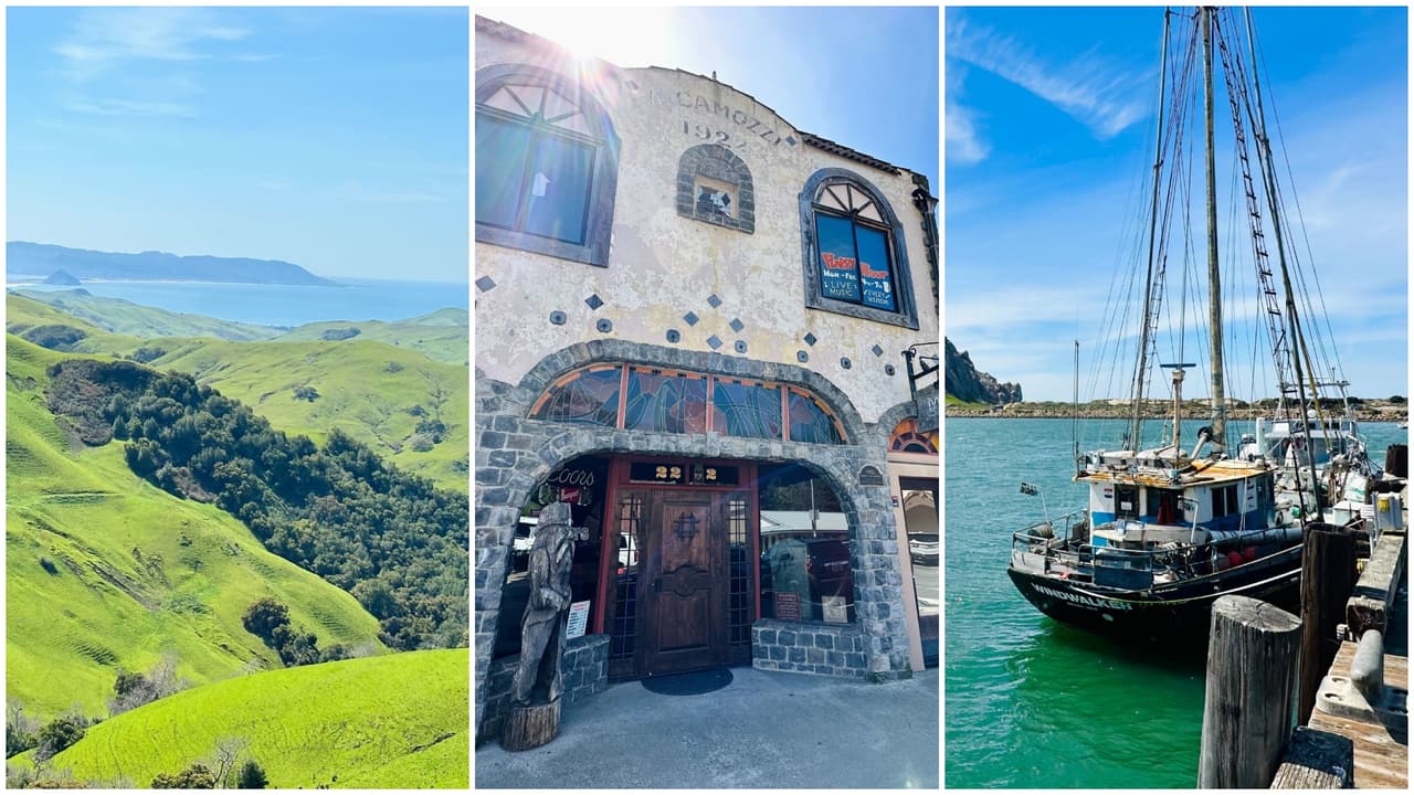 Familia de Los Ángeles descubre estos paradisíacos paisajes en Morro Bay, Cayucos y Cambria en la costa California