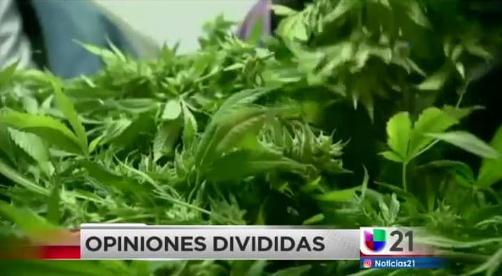 Polémica por propuesta de ley