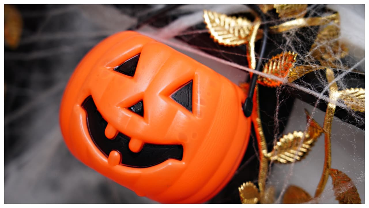 Cómo buscar si viven depredadores sexuales donde tus hijos pedirán caramelos este Halloween en Miami-Dade