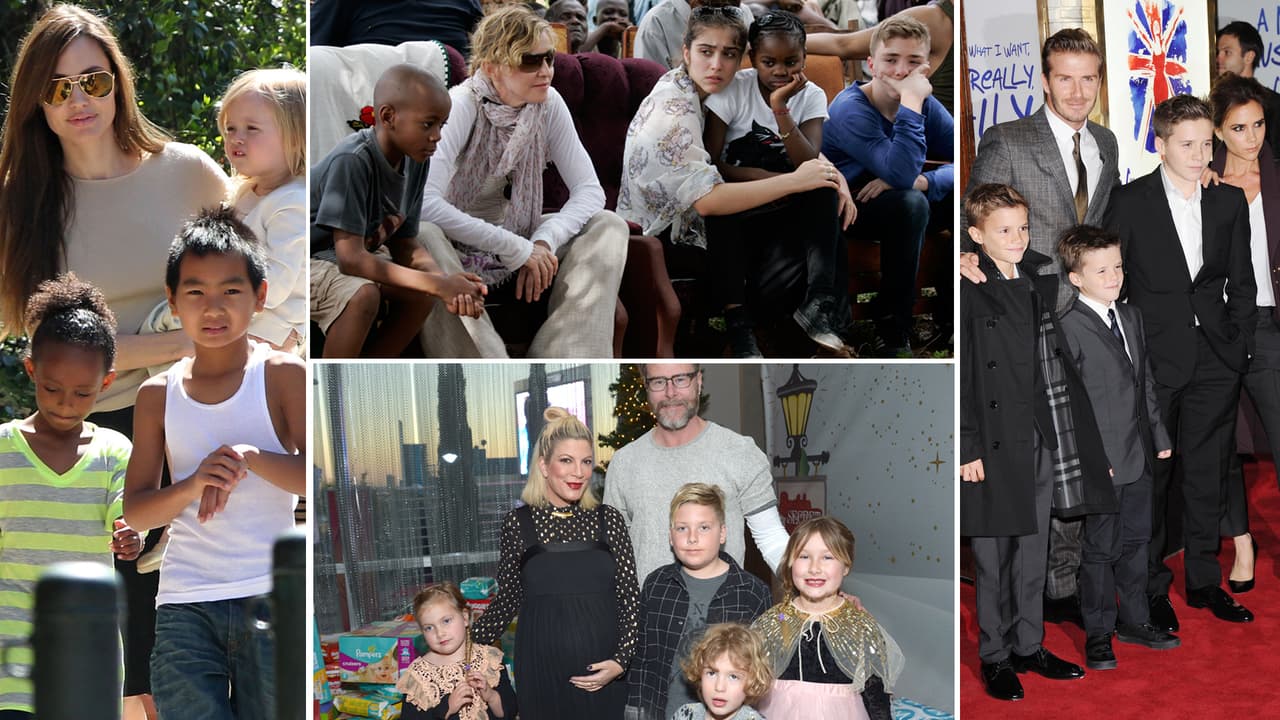Ya sea de sus parejas anteriores o de sus matrimonios actuales, biológicos o adoptados, estas famosas son parte de la lista de las celebridades que han formando familias numerosas.