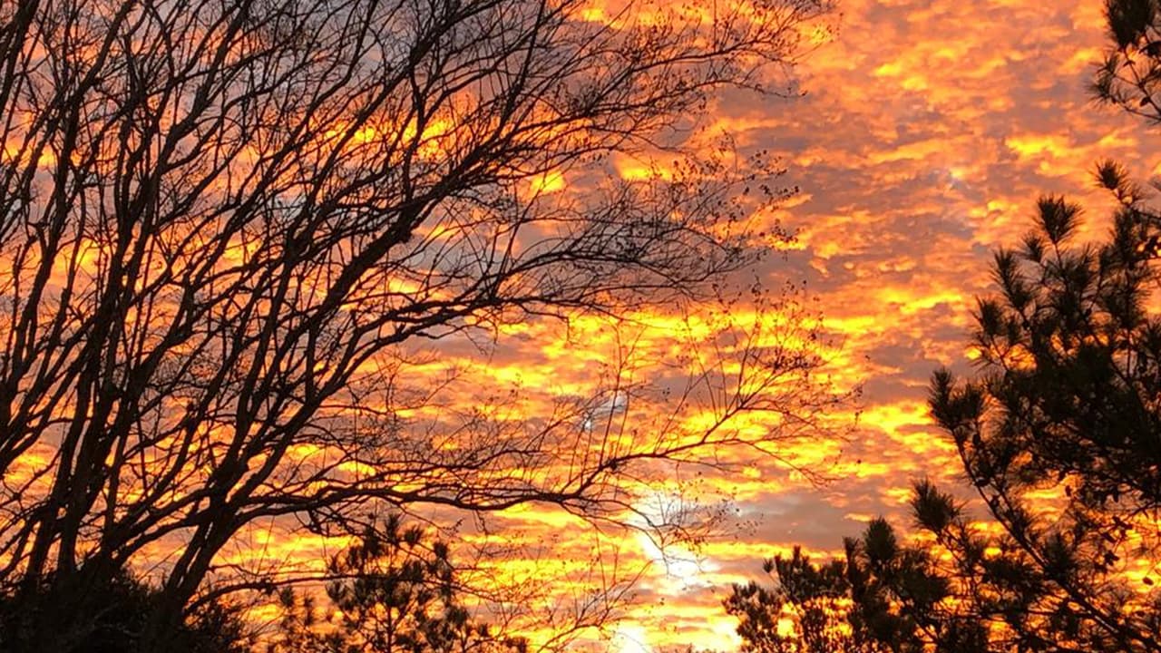 Pilar Samantha captó esta imágen en Cinco Ranch, TX