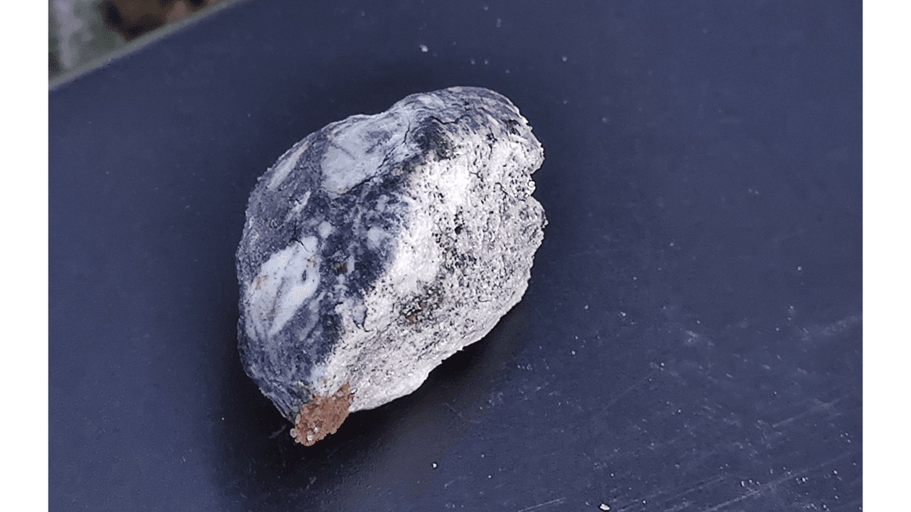 Estos son los restos del asteroide 2024 BX1 que cayó en Alemania en enero.