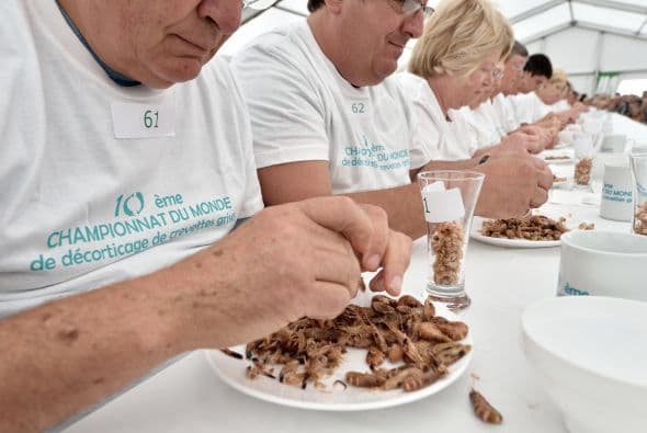 Todos impulsaban a sus favoritos con gritos y porras. Cocina con sabor para tus hijos y prepara platillos nutritivos y ricos en casa. Busca más recetas deliciosas aquí.