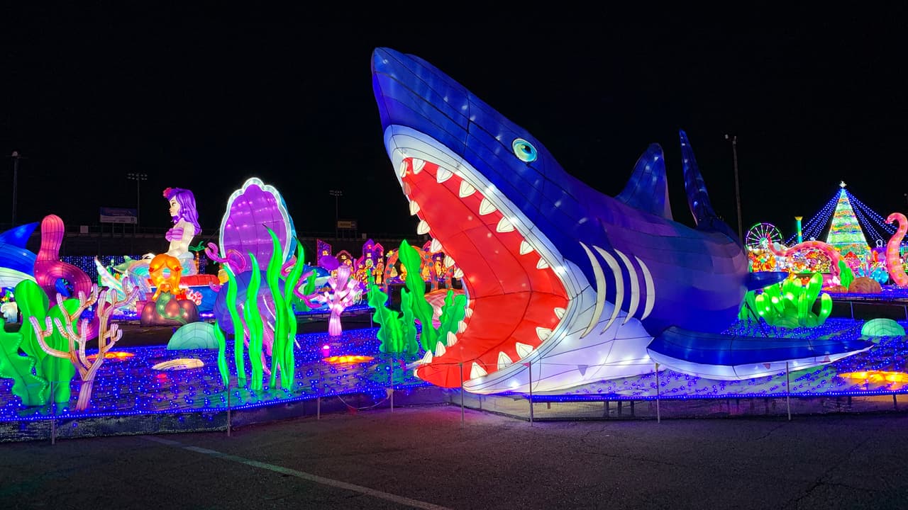 Loss animales que viven en el mar como los tiburores son de las secciones favoritas de los niños.