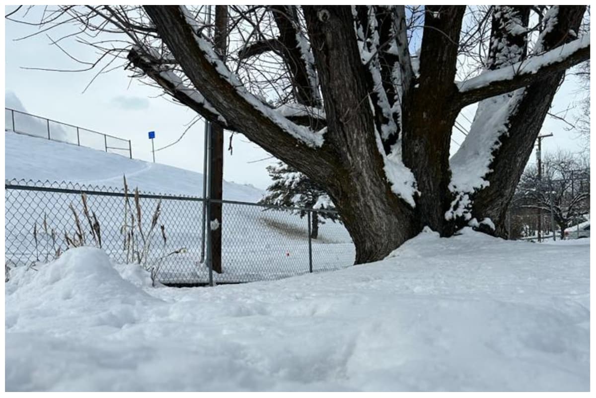 En total de los dos días ascendió a 17.3 pulgadas.