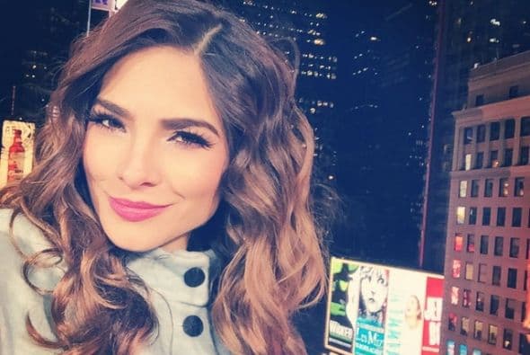 Trabajando o en casa con familia y amigos, los famosos de Univision se la pasaron de lo mejor despidiendo el 2014. ¡A celebrar, como debe ser!