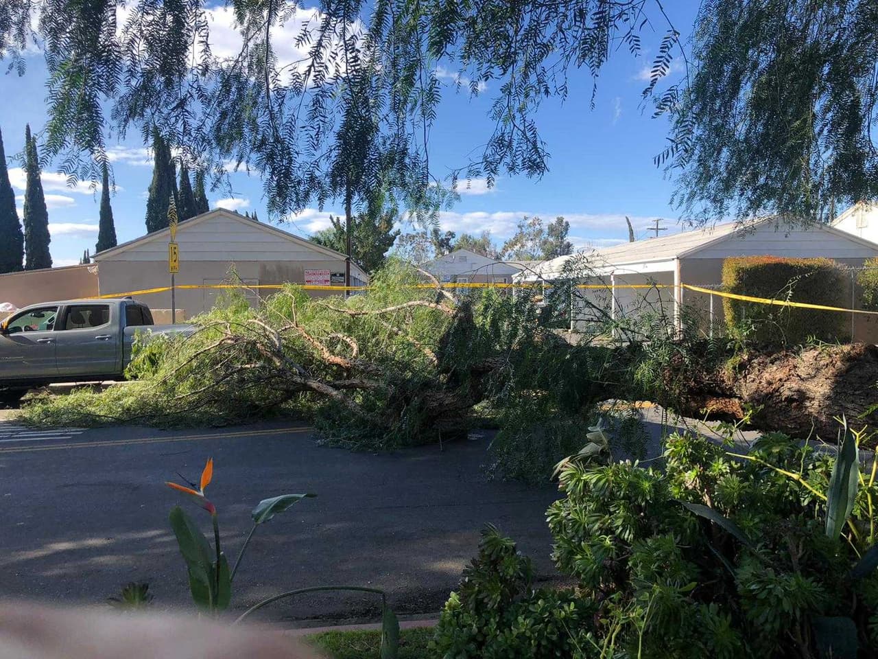 De acuerdo con el NWS, se espera que los vientos disminuyan a partir de este martes.