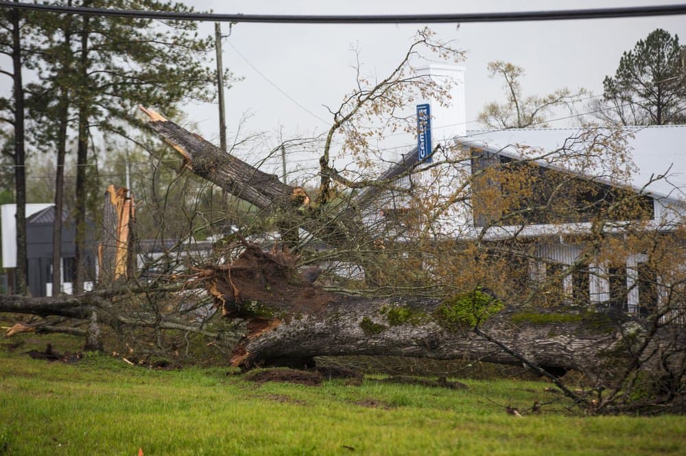 En la ciudad de Pelham, James Dunaway, dijo que ignoró inicialmente la advertencia de tornado cuando le llegó por teléfono. Pero no había pasado mucho tiempo cuando pudo escuchar que el tornado se acercaba, así que abandonó la recámara superior donde veía televisión y se dirigió a un pasillo apenas antes de que la tormenta arrancara el techo y partes laterales de su casa, lo que dejó totalmente expuesta la recámara. Sus tres vehículos quedaron inservibles.