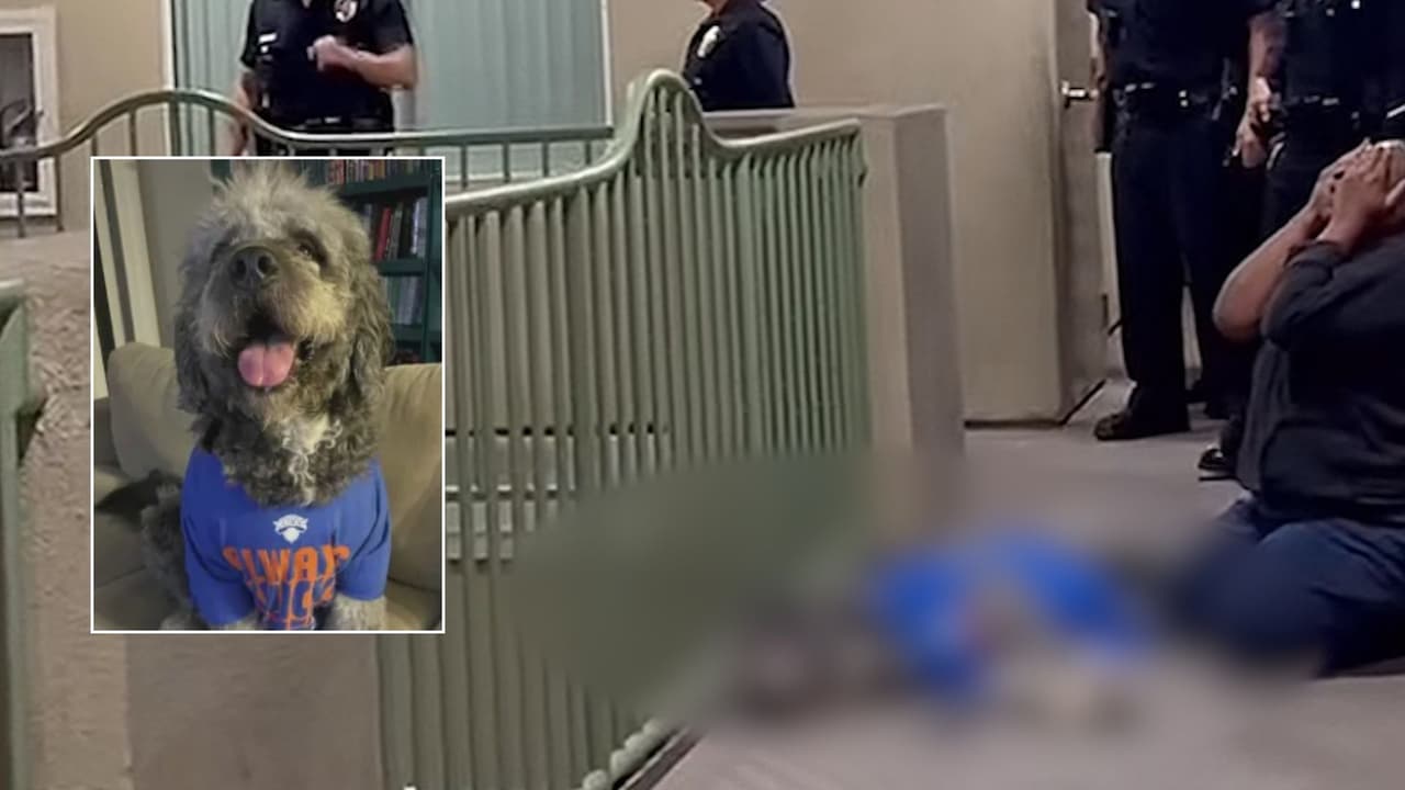 "¿Esto es por lo que pagamos?": la muerte del perro Jameson pone bajo la lupa a la policía de Los Ángeles