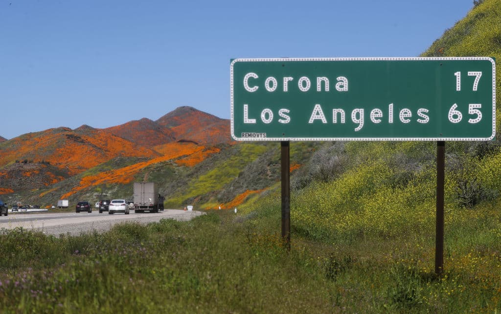 Una imagen de la autopista I-15 con el superflorecimiento de amapolas de fondo.