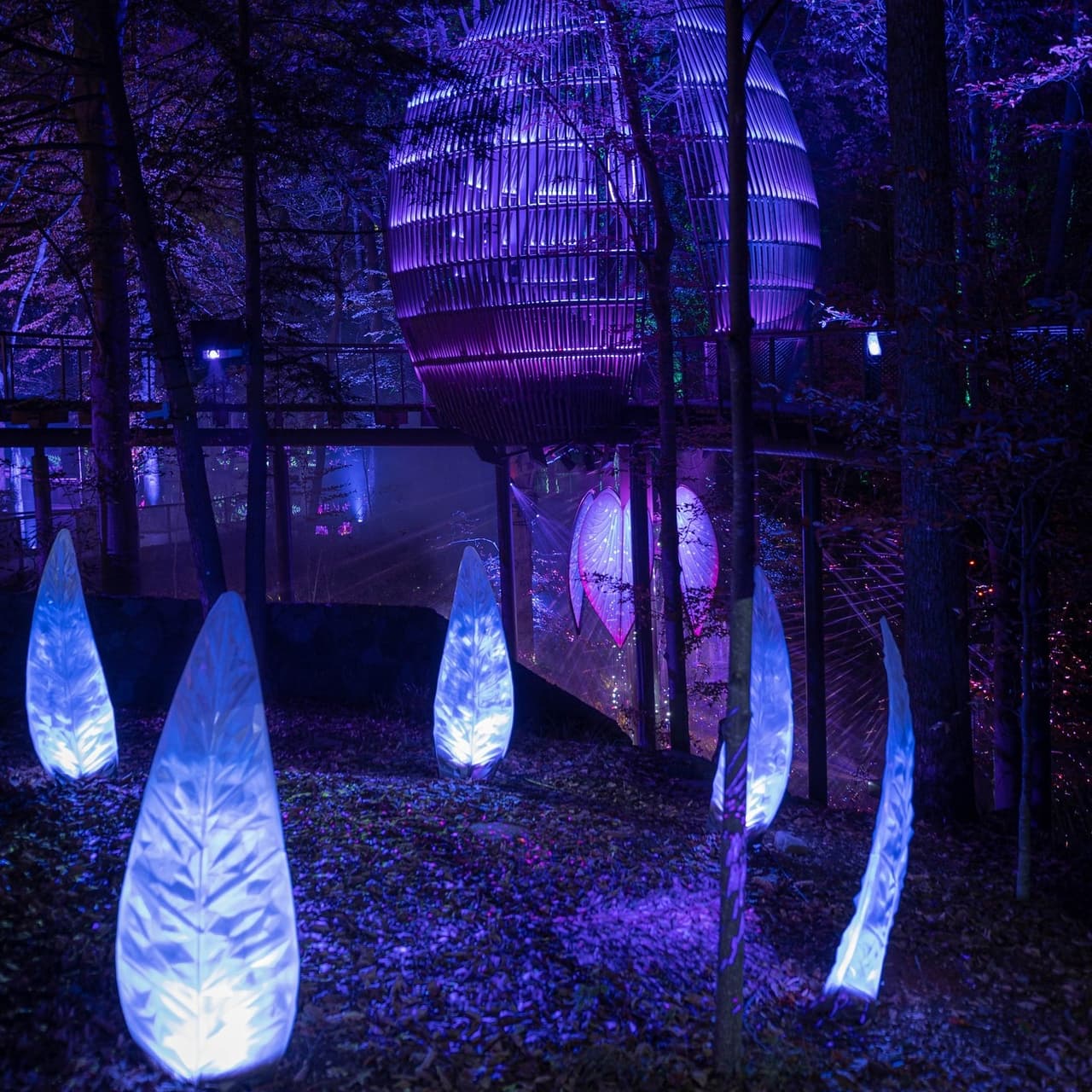 Conoce más eventos e información local, 
<a href="https://www.univision.com/local/atlanta-wuvg/localisimo"><b>aquí</b></a>.