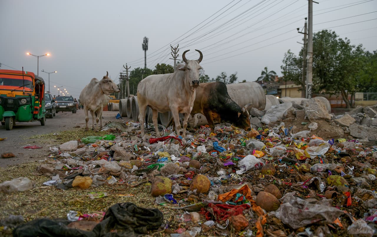 <b>Puesto 4: Varanasi, India. </b>1.5 millones de habitantes. Contaminación media anual por combustión: 146.3 microgramos por metro cúbico.