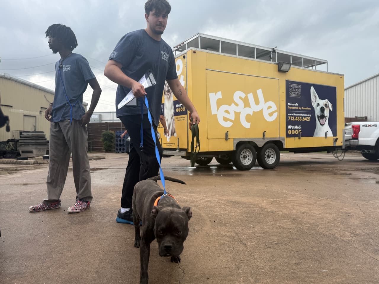 El Houston Humane Society reafirmó su compromiso de seguir apoyando a los animales afectados 
<b>por las inundaciones, ofreciendo recursos y asistencia en todo lo posible.</b>
<br>