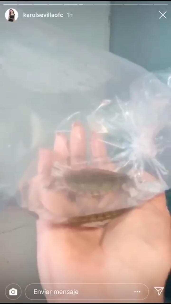 Finalmente el nombre elegido fue "Mérida"